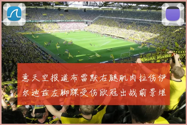 意天空报道布雷默右腿肌肉拉伤伊尔迪兹左脚踝受伤欧冠出战前景堪忧