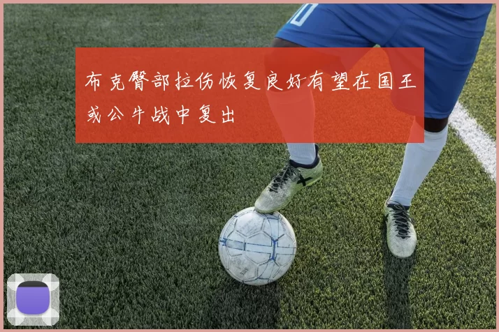 布克臀部拉伤恢复良好有望在国王或公牛战中复出